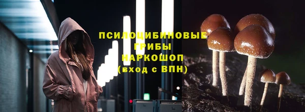 apvp Инта