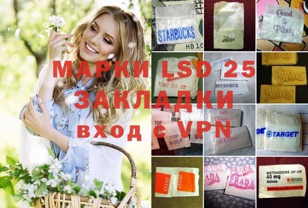 apvp Инта
