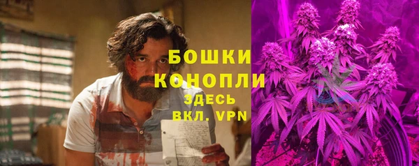 apvp Инта